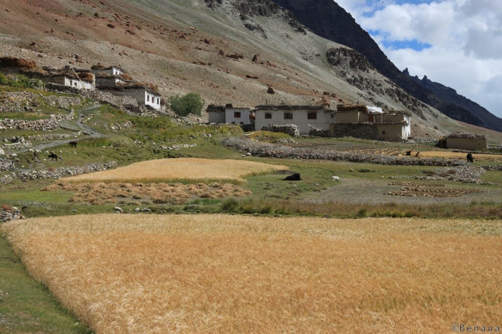 Village du Zanskar 2