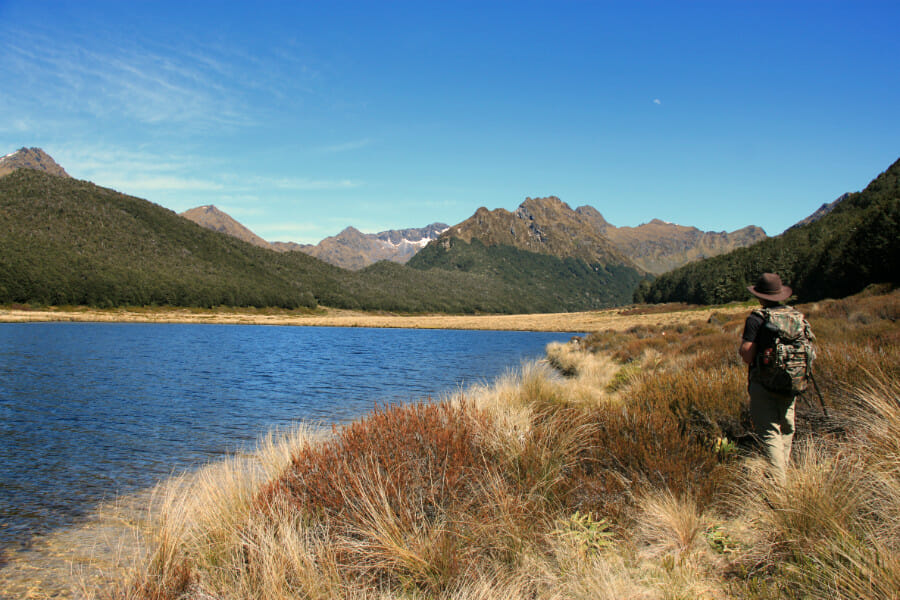 Murchison en NZ : mission Takahé dans les montagnes interdites