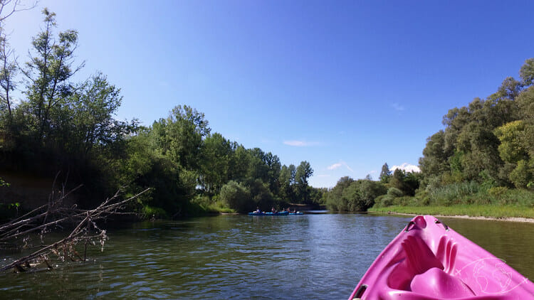 Autour du Lac du Der - Sortie kayak sur la Marne