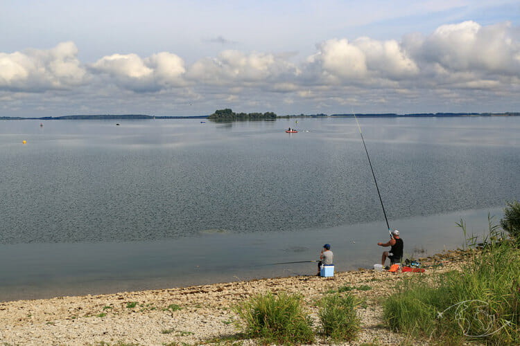 Pêche au Lac du Der