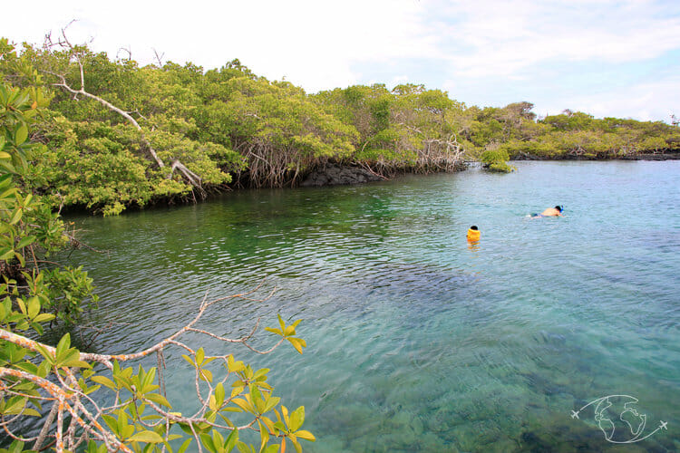Visiter les Galapagos - Concha Perla - île Isabela