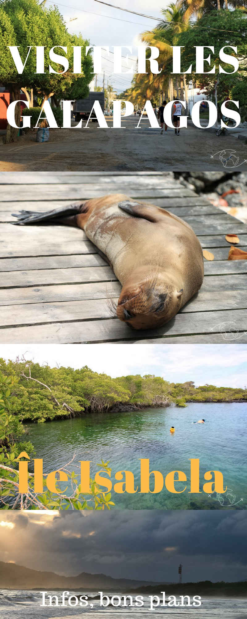 Visiter les Galapagos - mon séjour sur l\'île paradisiaque Isabela