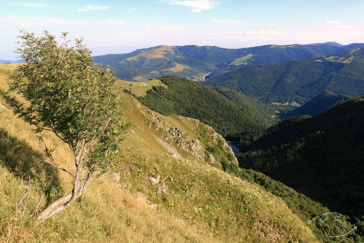 Autour de Corcieux - Paysage du Col de la Schlucht