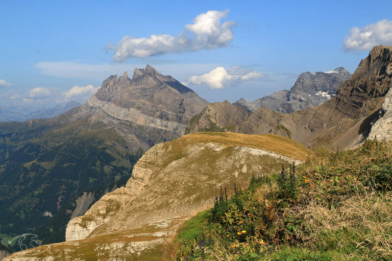 Randonnée Suisse : Tour des Dents du Midi, ses Variantes et Plus