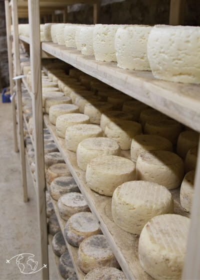 Visite de ferme en Lozère - Cave a fromage - Ferme Ressouche