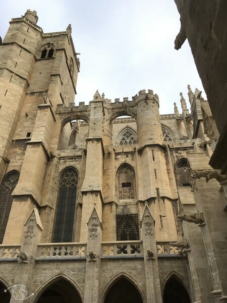 La Cathédrale de Narbonne