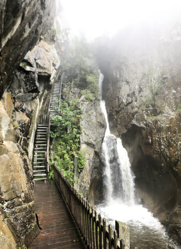  Cascade de la Gorge du Daillez - Vallée du Trient