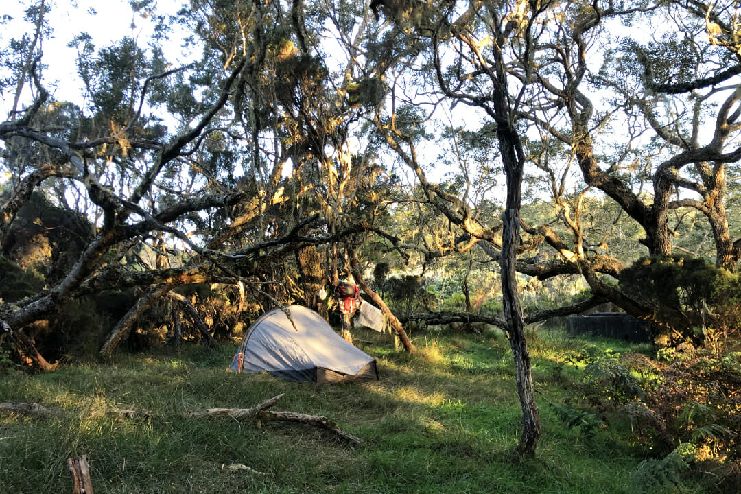 Camping Gîte de Roche Écrite - jour 1 - Traversée de la Réunion GRR2